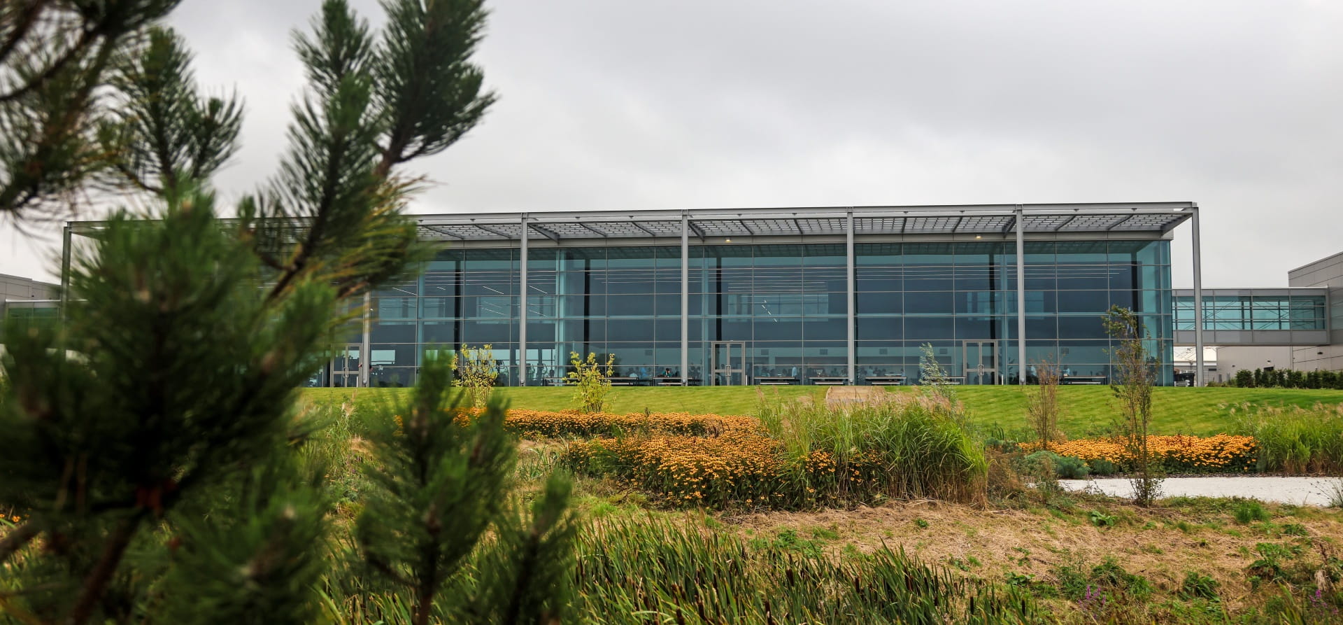 Tall glass fronted building with grass in front