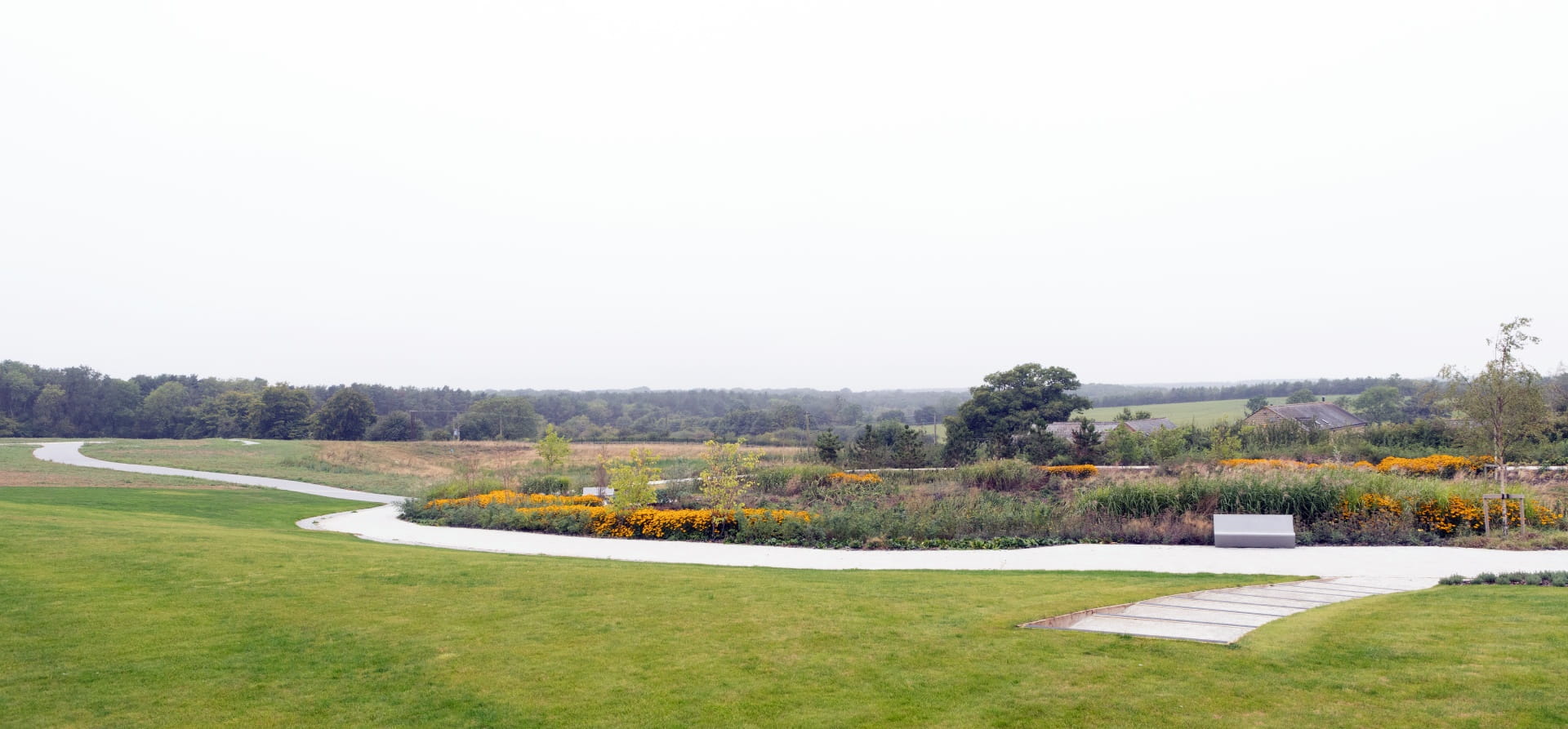 White path surrounded by shrubs and plants