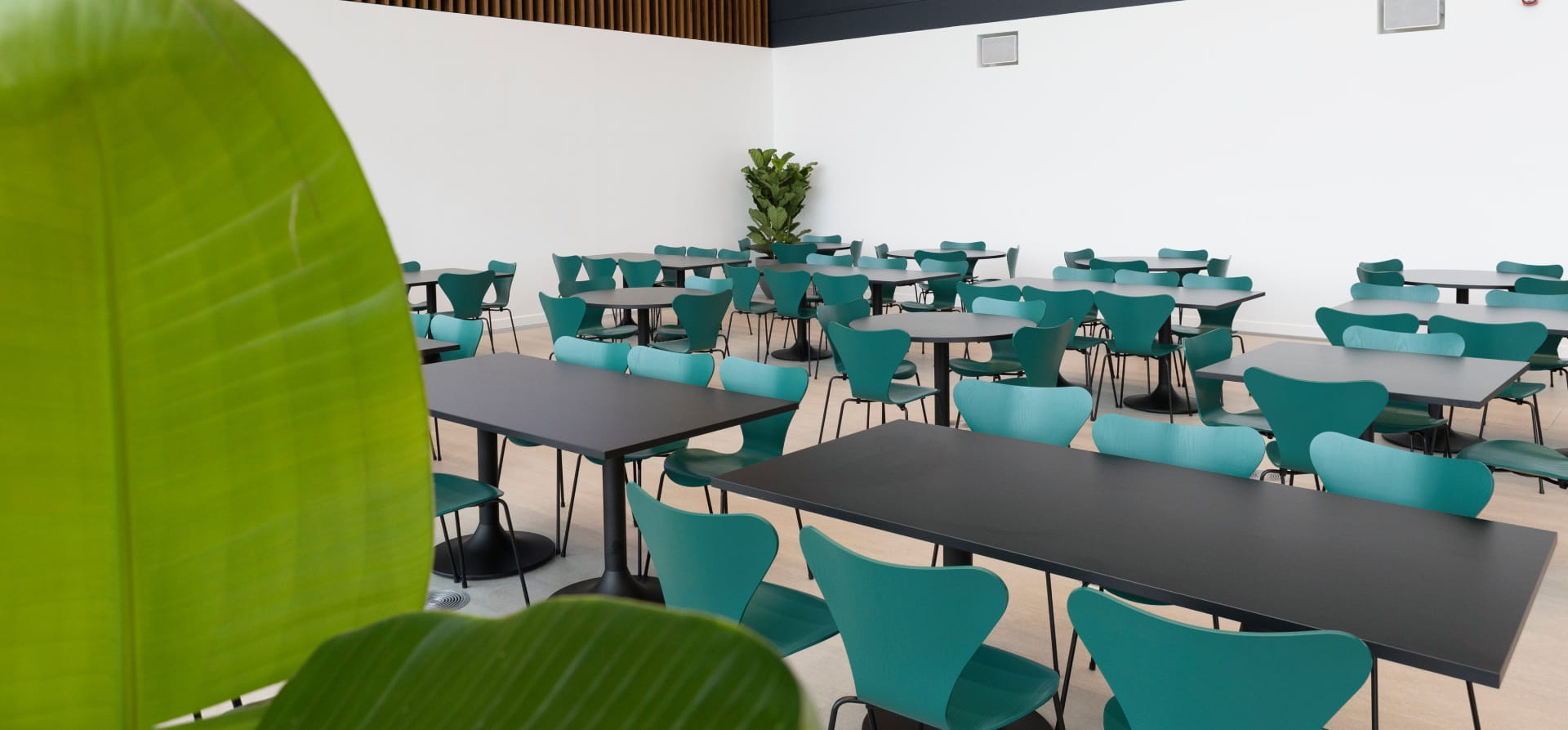 Black tables and green chairs laid out in rows, white walls